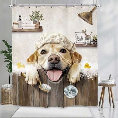 Funny Dog Farmhouse Shower Curtain 60Wx72L Inch Rustic Hilarious Labrador Pet Animal Country Bathroom Set Accessories Decor with 12 Pack Hooks