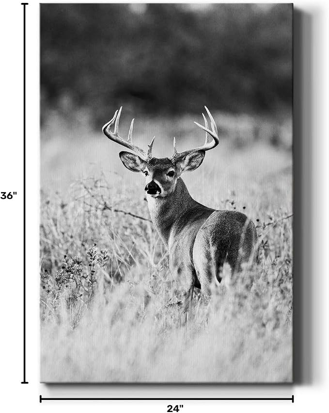 Renditions Gallery Canvas Animal Wall Art Home Modern Decorations Paintings Vintage Scared Deer Black & White Canvas Wall Hanging Artwork Prints for Bedroom Living Room Office - 24"x36" LT02