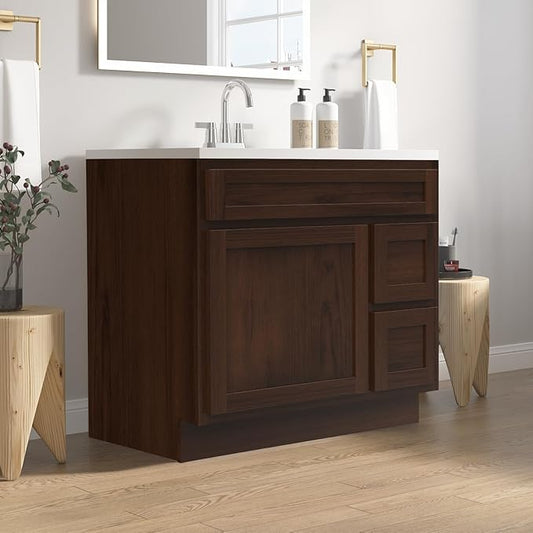 Vanity Art 36 Inch Single Shutter Door Bathroom Vanity Base Cabinet with 2 Functioning Shaker Drawers, Strudy Floor Mount Storage Cabinet Organizer for Bedroom, Living Room, Kitchen, VA4036-2R-B