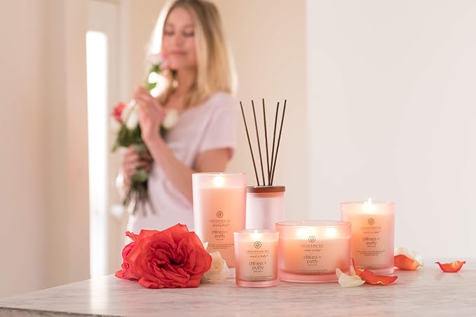 Chesapeake Bay Candle PT40896 Scented Candle Stillness + Purity (Rose Water) Coffee TableOrange Home Décor