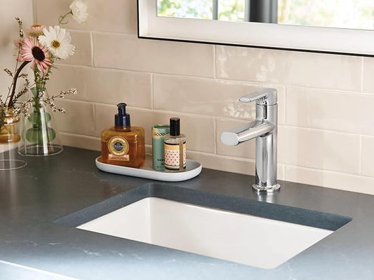 Moen Meena Chrome One-Handle Single Hole Modern Bathroom Sink Faucet with Optional Deckplate and Drain Assembly, 84794