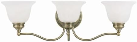 Livex Lighting 1353-01 Essex Bath Light
