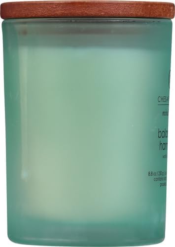 Chesapeake Bay Balance + Harmony Scented Candle Water Lily Pear Fragrance 50 Hours Burn Time Warm & Decorative Soy Wax Blend (Pack of 4)