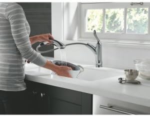 Delta Faucet Linden Single-Handle Kitchen Sink Faucet with Pull Out Sprayer, Chrome 4353-DST, BIG