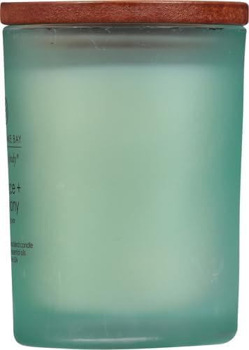 Chesapeake Bay Balance + Harmony Scented Candle Water Lily Pear Fragrance 50 Hours Burn Time Warm & Decorative Soy Wax Blend (Pack of 4)