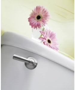 Moen DN6801BN Sage Inspirations Toilet Tank Lever, Brushed Nickel