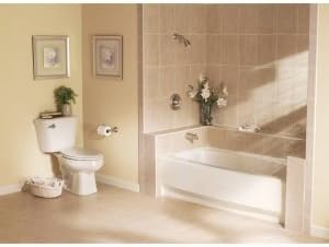 Moen DN6801BN Sage Inspirations Toilet Tank Lever, Brushed Nickel
