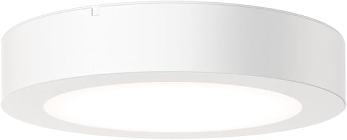 Juno Slim Basics 4 Inch LED Ceiling Light, Low Profile Surface Mount Downlight for Shower or Closet Lighting, 3000K/4000K/5000K Selectable White Light, Edged Trim, Wet Rated, Matte White