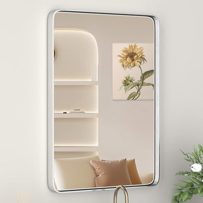 16" x 20" Brushed Nickel Bathroom Mirrors for Over Sink,AluminumFrame