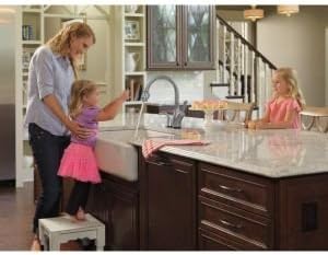 Delta Leland Oil Rubbed Bronze Touch Kitchen Faucet with Pull Down Sprayer, Traditional Single Hole Touch On Kitchen Sink Faucet, Single Handle, Venetian Bronze 9178T-RB-DST