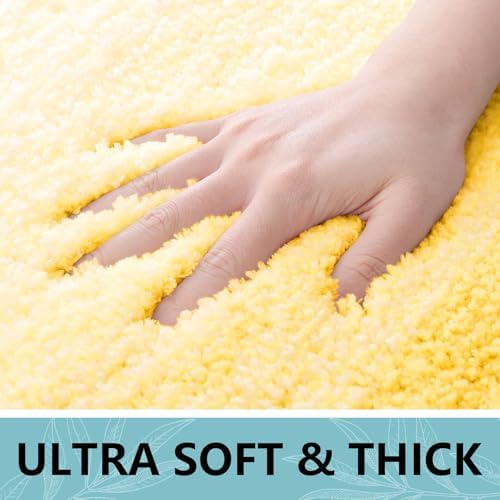 Arotive Microfiber Bathroom Rugs, Shaggy Soft Absorbent Bath Rug, 47x17