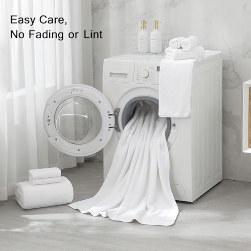 Hailea 2 Piece White Hand Towels Set 16x31 Inches,Soft Microfibers Bathroom Towel Set 2 Pack,Highly Absorbent Quick Dry Luxury Towel Hotel Spa Gym Hand Towel Collection for Bathroom