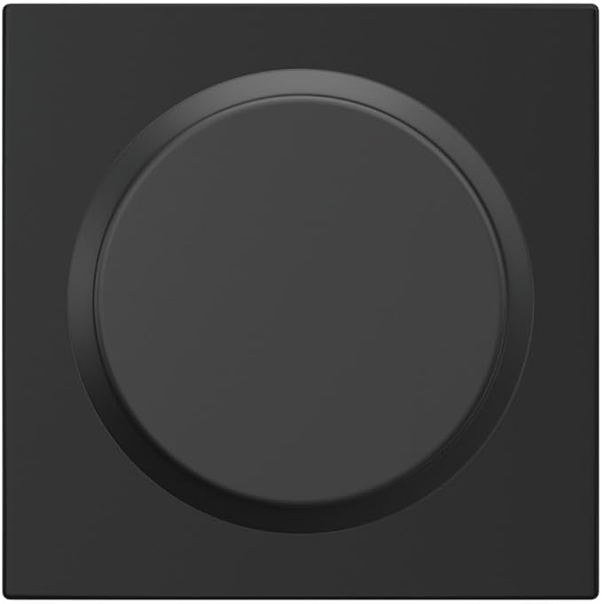 Schlage F170 BWE 622 Bowery Door Knob, One Sided Non-Turning Dummy Door Handle, Matte Black