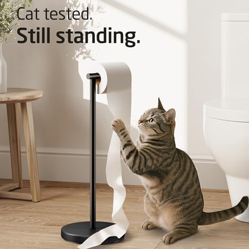 KES Bathroom Toilet Paper Holder Stand Modern Tissue Roll Holder SUS304 Stainless Steel Rustproof Freestanding 20.2" H, Matte Black BPH283S1-BK