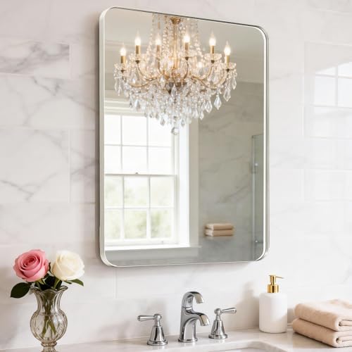 18X30Inch Brushed Nickel Bathroom Mirrors for Over Sink,AluminumFrame