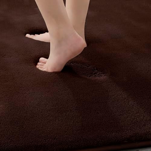 MINIDEAR Bathroom Rugs 24x17 Dark Brown - Thick Memory Foam Bath Mat, Ultra Soft & Plush Fluffy, Non-Slip, Quick Dry, Absorbent Washable Floor Microfiber Mat for Tub, Home Decor Accessories