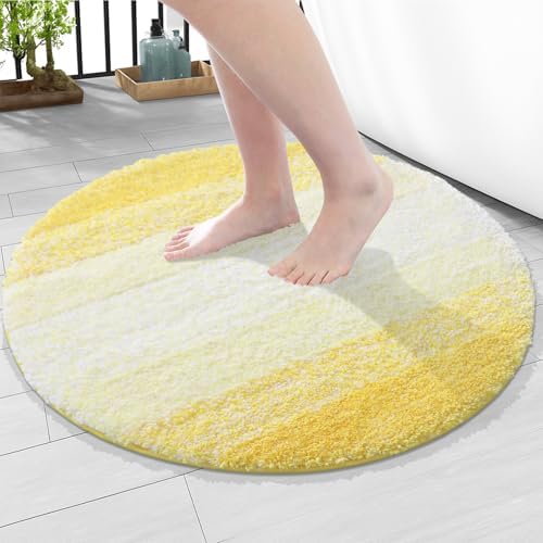 Arotive Microfiber Bathroom Rugs, Shaggy Soft and Absorbent Bath Rug, 24x24