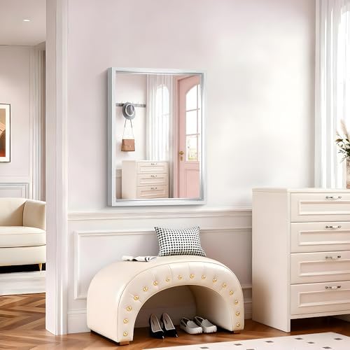 22 x 30 inch Brushed Silver Bathroom Mirror, Metal Framed Rectangle Mirror, 0.6" Thickened Deep Frame Mirrors for Living Room Bedroom Entryway, Tempered Glass, Antirust, Horizontal or Vertical