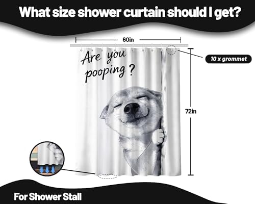 Funny Dog Shower Curtain Cool Shiba Inu, 60x72 Inchs