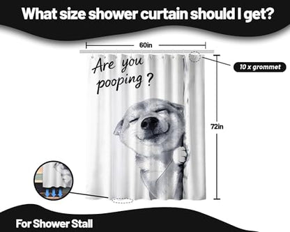 Funny Dog Shower Curtain Cool Shiba Inu, 60x72 Inchs