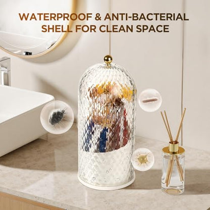 3 Slots Rotating Toothbrush Holders with Lid for Bathroom