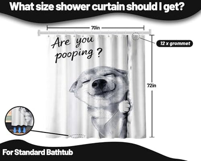 Funny Dog Shower Curtain Cool Shiba Inu, 70x72 Inchs