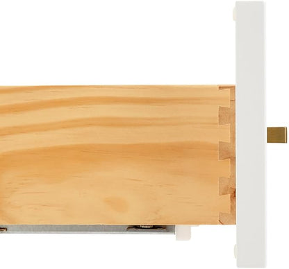 Emilia 60 Inch Bathroom Vanity Single Sink — White Bathroom Vanity with Sink, 1.5" Edge Italian Carrara Marble Countertop, Solid Wood, 2 Soft-Close Doors, 9 Dovetail Drawers