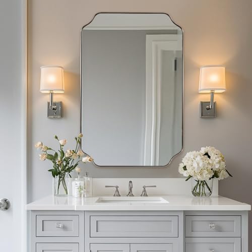 ANDY STAR 20x30 Inch Brushed Nickel Mirror, Silver Bathroom Mirror, Modern Rounded Notched Corner Mirror in Rustproof Stainless Steel Thin Frame, Compact Size Ideal for Small Bathroom Remodel