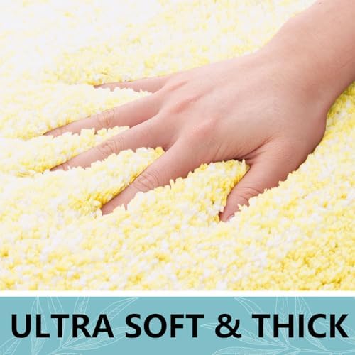 Arotive Microfiber Bathroom Rugs, Shaggy Soft Absorbent Bath Rug, 47x24