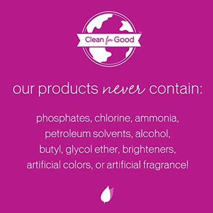 Biokleen Bac-Out Bathroom Cleaner, Eco-Friendly, Non-Toxic, Plant-Based, No Artificial Fragrance, Colors or Preservatives, 32 Ounces (Pack of 6)