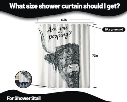 Highland Cow Shower Curtain, 60x72 Inch
