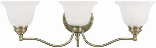 Livex Lighting 1353-01 Essex Bath Light