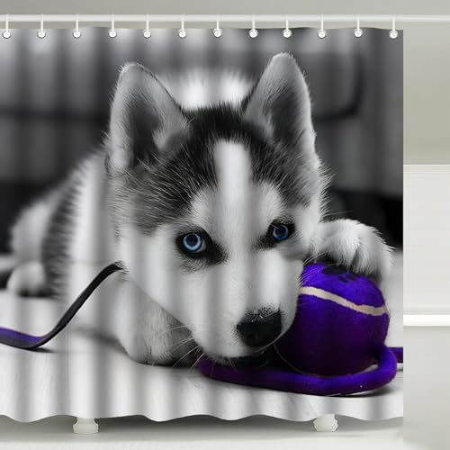 Cute Blue Eyed Siberian Husky Puppy Shower Curtain with Hooks 72 x 72 Inch
