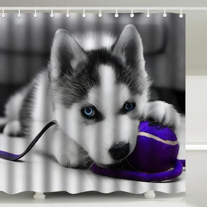Cute Blue Eyed Siberian Husky Puppy Shower Curtain with Hooks 72 x 72 Inch