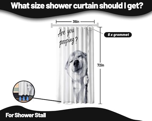 Small Stall Shower Curtain Rv Dog Shiba Inu, 36 x 72 Inchs