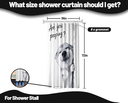 Small Stall Shower Curtain Rv Dog Shiba Inu, 36 x 72 Inchs