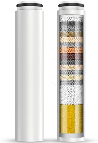 Cobbe 2 Pack Replacement Filters for Handheld Shower Head (CF1101)