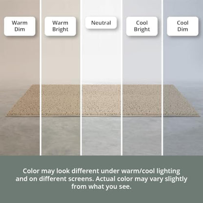 MAYSHINE Small Plush Shaggy Chenille Bath Mat 23"x14"| Extra Soft, Super Absorbent, Non-Slip Bathroom Rug | Fluffy Microfiber, Area Rug Sets for Bathroom Floor, Kitchen, Living Room |Beige