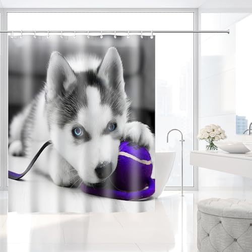 Cute Blue Eyed Siberian Husky Puppy Shower Curtain with Hooks 72 x 72 Inch