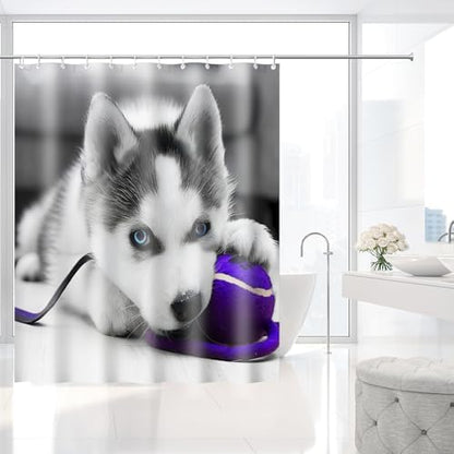Cute Blue Eyed Siberian Husky Puppy Shower Curtain with Hooks 72 x 72 Inch