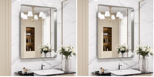 LOAAO 24X30 Inch Brushed Nickel Bathroom Mirror, Rounded Rectangle (Pack of 2)