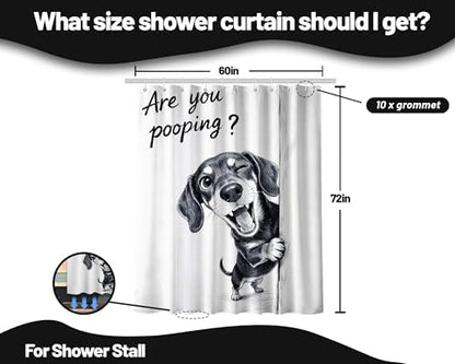 Funny Dachshund Shower Curtain are You Pooping, 60x72 Inchs