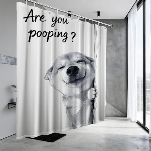 Funny Dog Shower Curtain Cool Shiba Inu, 70x72 Inchs