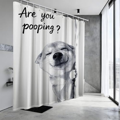 Funny Dog Shower Curtain Cool Shiba Inu, 70x72 Inchs