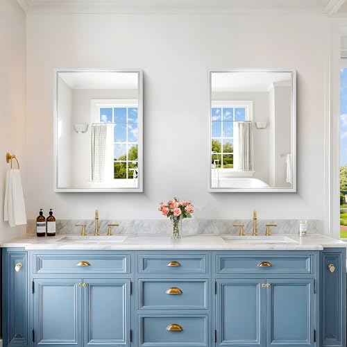 22 x 30 inch Brushed Silver Bathroom Mirror, Metal Framed Rectangle Mirror, 0.6" Thickened Deep Frame Mirrors for Living Room Bedroom Entryway, Tempered Glass, Antirust, Horizontal or Vertical