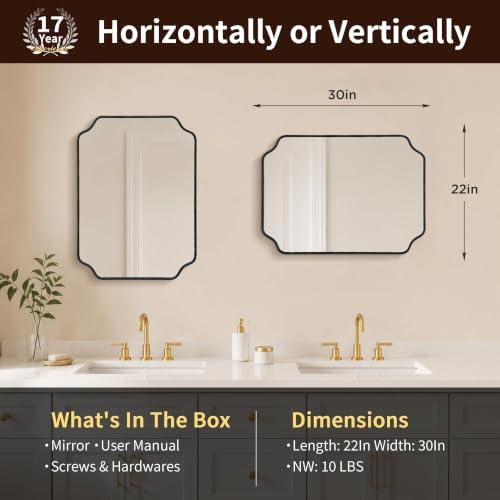 Besdomus Black Modern Bathroom Mirror: 22"x30" Minimalist Vanity Mirrors