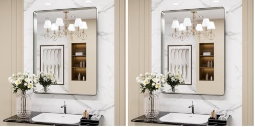 LOAAO 24X36 Inch Brushed Nickel Bathroom Mirror (Pack of 2)