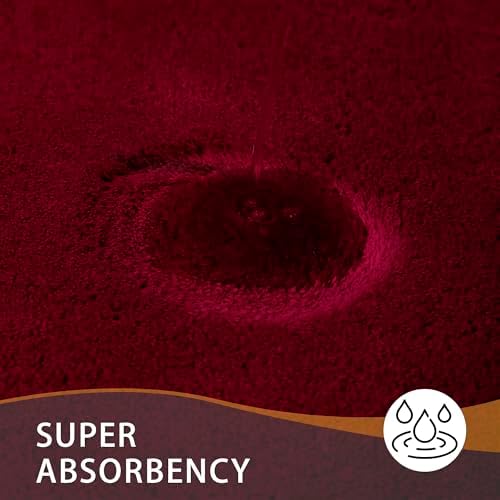 MINIDEAR Bathroom Rugs 24x17 Wine Red - Thick Memory Foam Bath Mat, Ultra Soft & Plush Fluffy, Non-Slip, Quick Dry, Absorbent Washable Floor Microfiber Mat for Tub, Home Decor Accessories