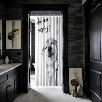 Small Stall Shower Curtain Rv Dog Shiba Inu, 48 x 72 Inchs