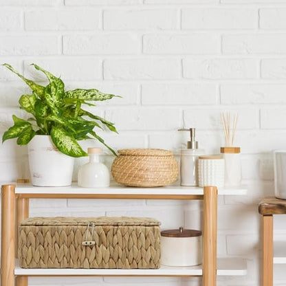 Water Hyacinth Wicker Storage Basket with Lid and Dividers